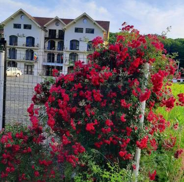 Sofial Guesthouse