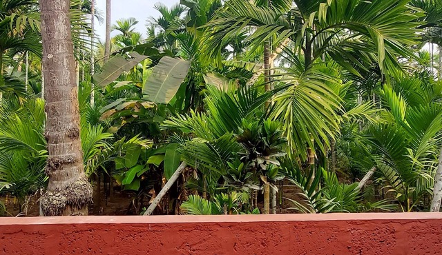Soham Beach Resort, Diveagar