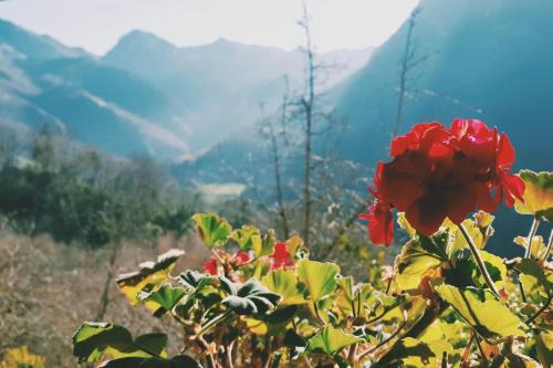 Sol de Asturias