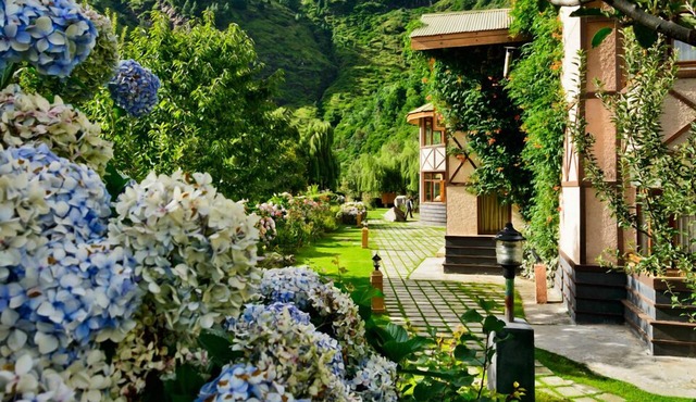 Solang Valley Resort