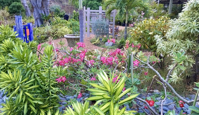 Solar Power! Easy Access, Great Location, Garden Setting, Walk to Coral Bay