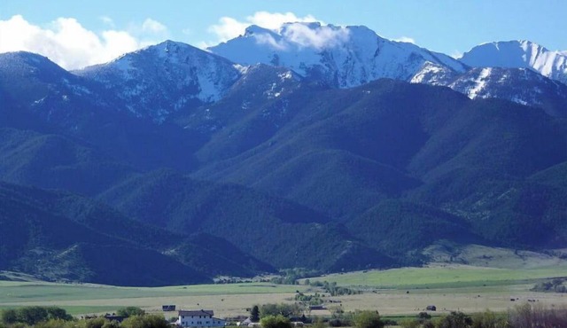 Solar powered farm stay near wild hotsprings!