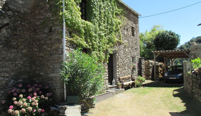 Sole e Ventu 30qm by Interhome