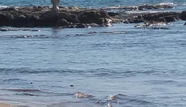 Sole Mare E Relax per Vacanze