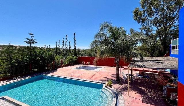 Soleil Bleu between garden, pool & art of living.