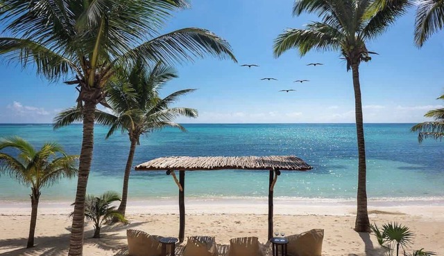 Soliman Bay Oasis Beachfront Villa + Plunge Pool