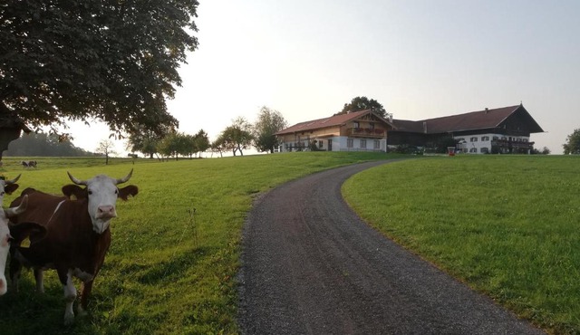 Sonnenhub