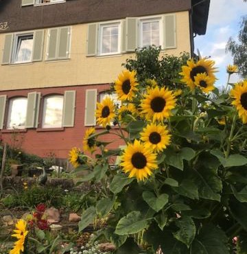 sonnige Ferienwohnung