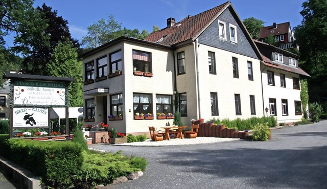 Sonniges Dachgeschoss-Refugium, Wildemann