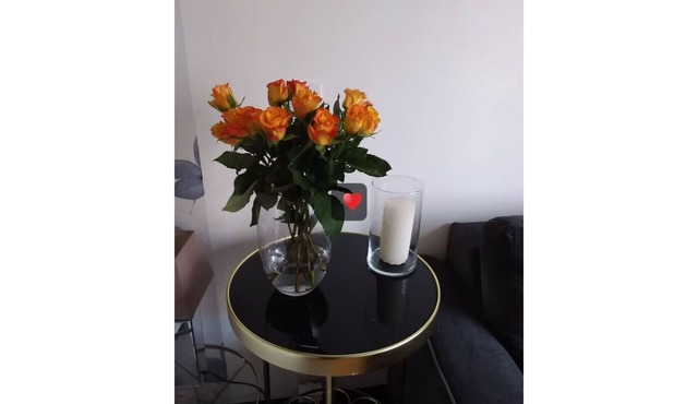 Sophie's chic studio in the heart of downtown