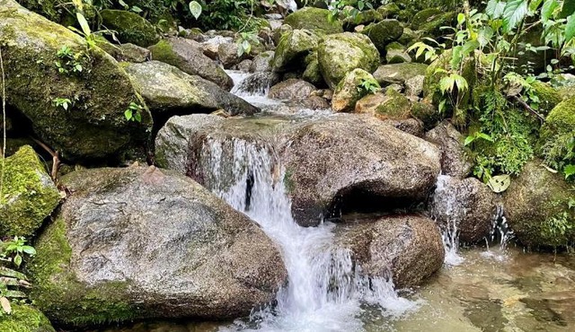 Soplo del Tambo - Naturaleza y Bienestar