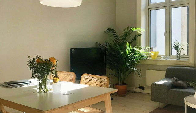 South-facing flat with balcony in Grünerløkka