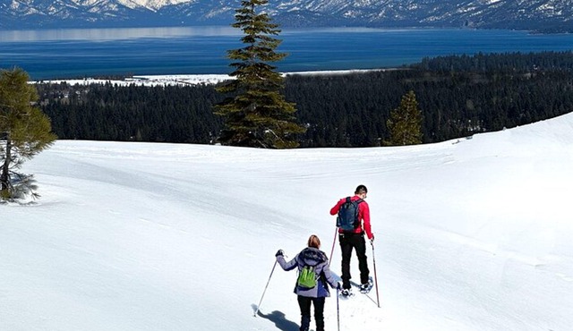 South Lake Tahoe Scenic Paddle Board Tour