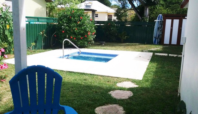 South Point Row: 1 Bed. Apt. + Plunge Pool - Surfing: The Best On The South!