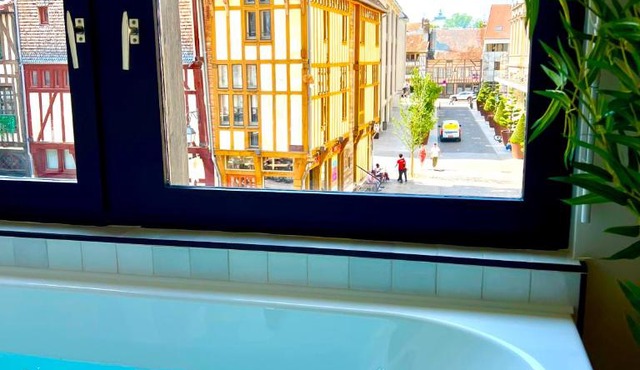 Spa et Sauna Luxueux Hyper centre avec climatisation Parking gratuit