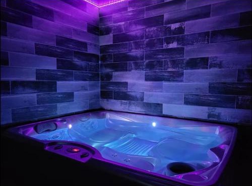 Spa le petit feu, jaccuzi, sauna, bar a sirop, vidéoprojecteur