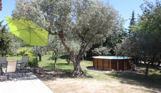 Space & light on ground 1200 m2 planted with Provence olive trees 4 km from Mt Ventoux