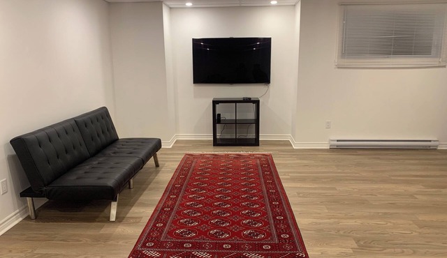 Spacious basement in nice area