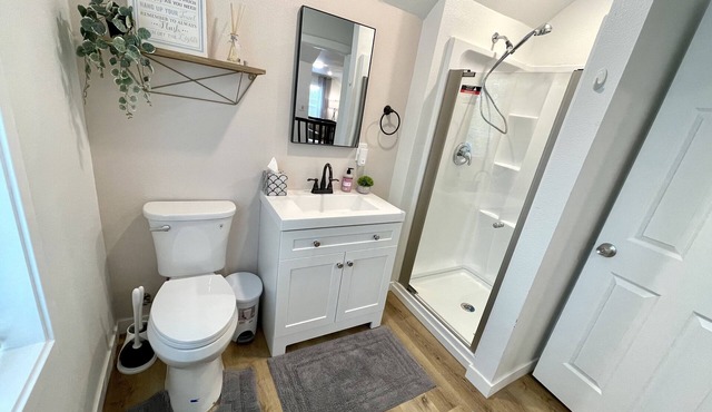 Spacious 1bd/1bt downtown apartment next to the park