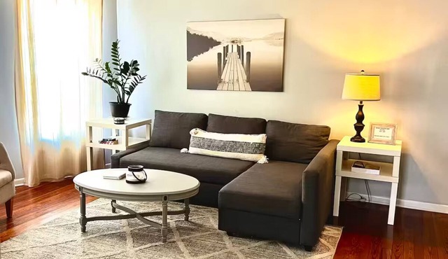 Spacious 2 BD Apt -Hyde Park
