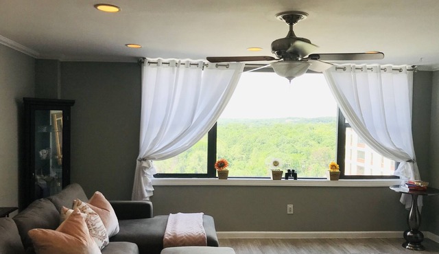 Spacious 2B -1BA High Rise Condo in Alexandria