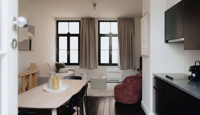 Spacious 3-Level Apartment in Mechelen