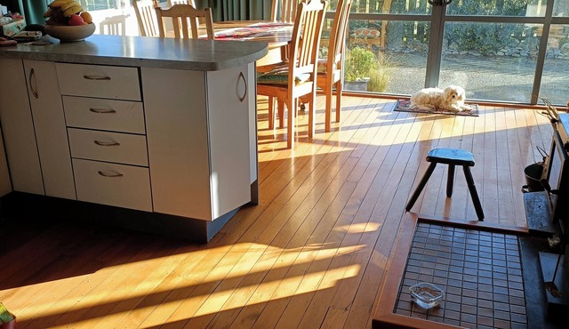 Spacious 4-bedroom and dog-friendly family home in Brooklyn. Gorgeous garden!