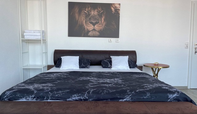 Spacious 5-bedroom apartment Kassel city center: Perfect for groups and families