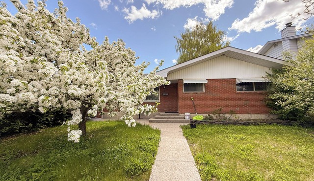 Spacious 6BR and 2BA in Varsity – Walk to U of Calgary