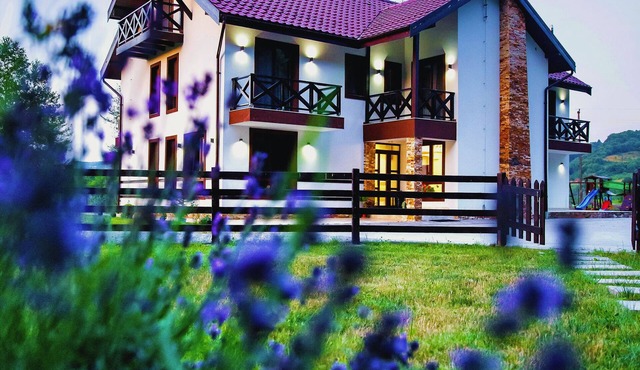 Spacious 7-bedroom villa in phenomenal Bratca with WiFi, sauna, jacuzzi
