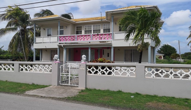 Spacious Air Conditioned 4 bed detached house near Miami Beach