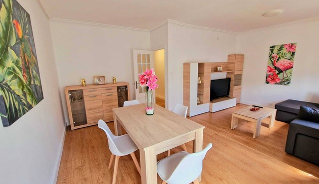 Spacious and bright apartment in ourense