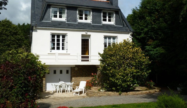 Spacious and comfortable house in a mature garden. Wireless