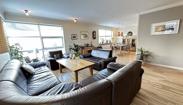 Spacious and Family Friendly apartment in Reykjavik