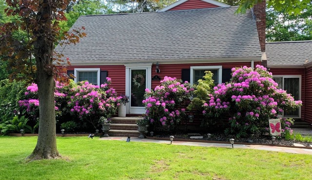 Spacious and lovely 5-bedroom in Wellesley. Only 20 minutes from Boston!