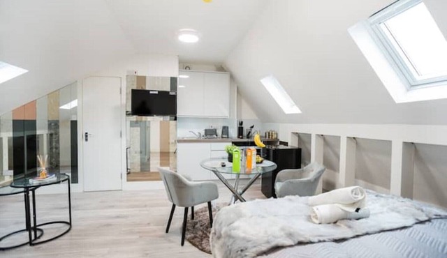 Spacious and Modern studio in London