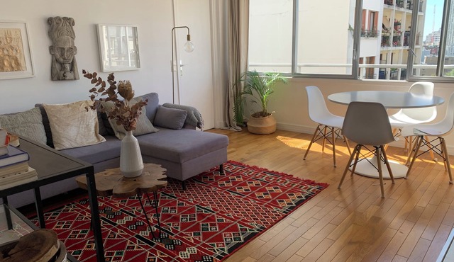 Spacious and splendid apartment in Paris
