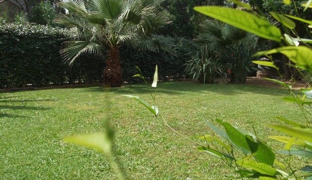 Spacious apartment 6 people, comfortable, 800m from the port and beaches.