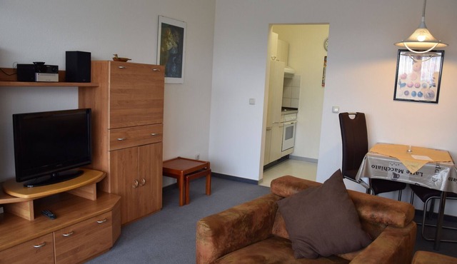 Spacious apartment (48sqm) with balcony/terrace