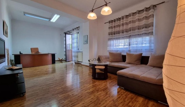 Spacious Apartment City Center Pta Romana