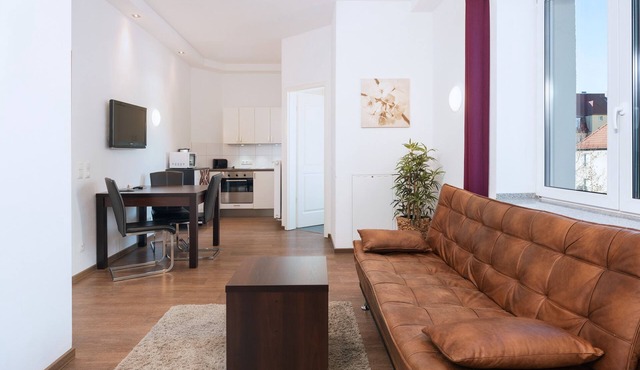 Spacious apartment with kitchenette