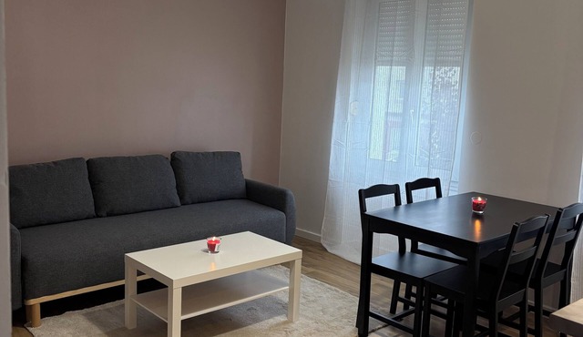 Spacious apartment 15 minutes from Paris