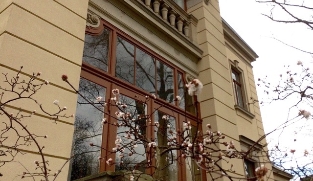 Spacious apartment in a historic villa with two bedrooms.