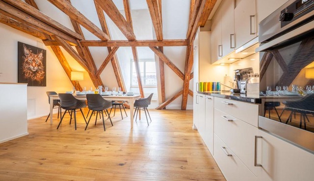 Spacious Apartment in Central Basel near Rhine - Special TOP LUX 42 Apartment, Basel, up to 6 guests