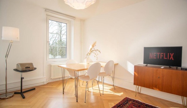 Spacious apartment next to park with free BaselCard