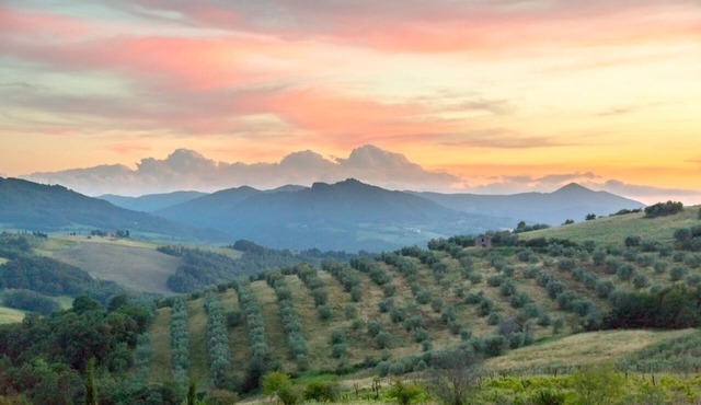 Spacious apartment with garden panoramic terrace - Mandorlo
