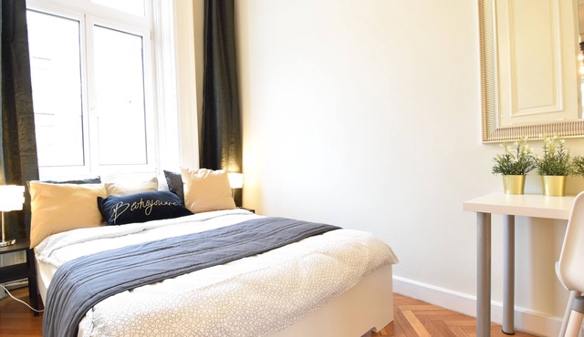 Spacious apartment with 12 bedrooms with AC in beautiful Budapest
