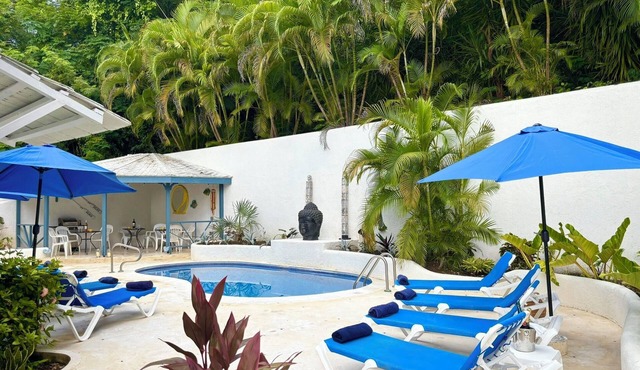 🌴 Spacious Barbados Villa 400m from Mullins Beach/Sleeps 16/ideal for families🌴
