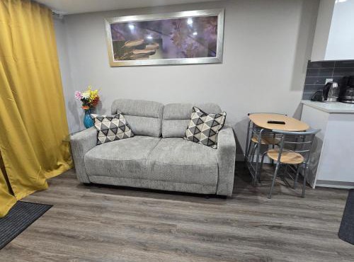 Spacious Basement Suite NW Calgary- 1bedroom, 1Sofabed 4 guest maximum