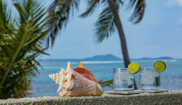 Spacious beach front living with spectacular Caribbean sea-views.